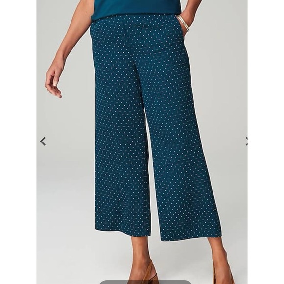 NWT J Jill Wearever Women's Sz XLp Dark Teal/Swiss‎ Dot Wide Leg Cropped Pants - Picture 3 of 10